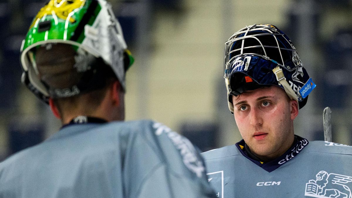 V kabině reprezentace řádí viróza, Rulík musel přistoupit ke druhé vynucené změně